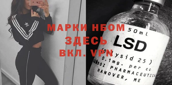 прущие грибы Дмитров
