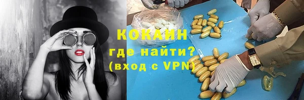мдпв Дмитриев