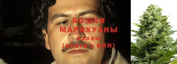 мдпв Дмитриев