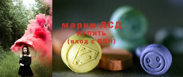 ПСИЛОЦИБИНОВЫЕ ГРИБЫ Болотное