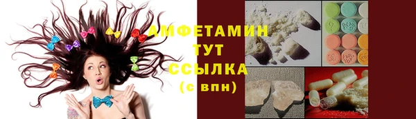 прущие грибы Дмитров