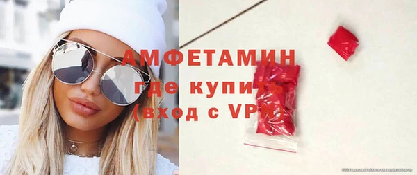 прущие грибы Дмитров