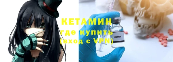 прущие грибы Дмитров