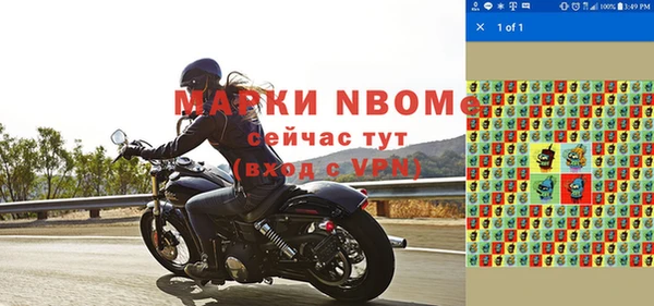 ПСИЛОЦИБИНОВЫЕ ГРИБЫ Болотное