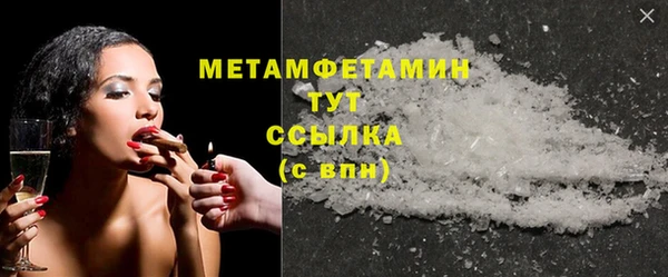 прущие грибы Дмитров
