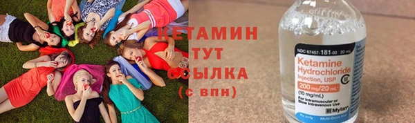 прущие грибы Дмитров